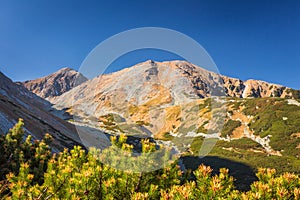 Mountain landscape at autumn.