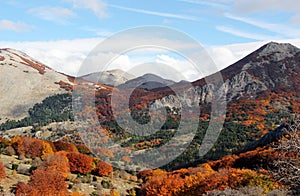 Mountain landscape autumn, with beeches photo