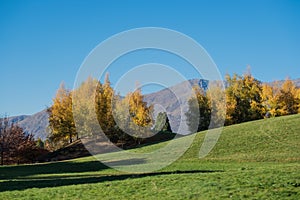 Mountain landscape in autumn colors, Lake Benmore, New Zealand