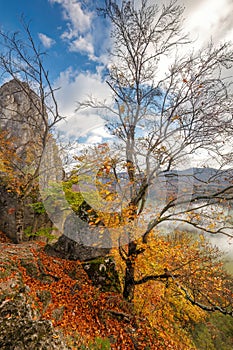 Mountain landscape during autumn morning