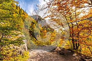 Mountain landscape in autumn sunny day