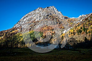 Mountain landscape autumn Valtellina Italy