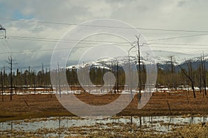Mountain landscape background. snowy hills and forest. power lines in mountains