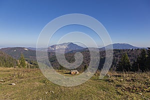 Mountain landscape with Baiului mountains on background 