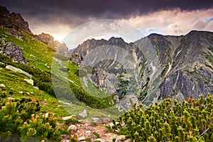 Mountain landscape