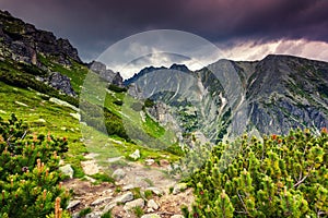 Mountain landscape