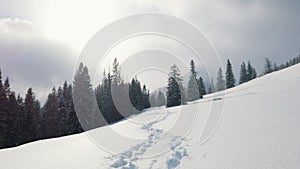 Mountain landscape. Beautiful winter scenery of mountain covered in snow, footprints leading into the pine forest