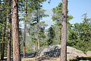 Mountain Landscape in the Black Hills, South Dakota