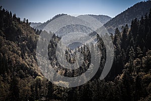 Mountain landscape of the Borjomi in Georgia. Toned