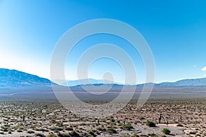 mountain landscape with cacti in south america