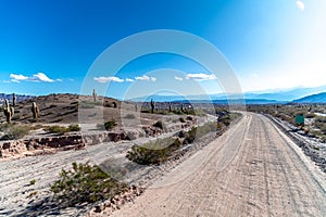 mountain landscape with cacti in south america