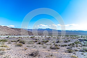 mountain landscape with cacti in south america