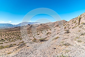 mountain landscape with cacti in south america