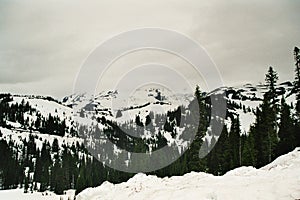 Mountain Landscape in Cascades National Park, Washington