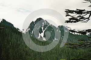 Mountain Landscape in Cascades National Park, Washington