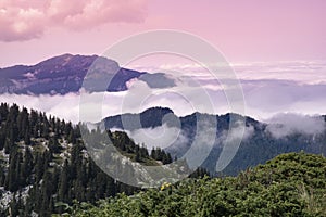 Mountain landscape in Chartreuse