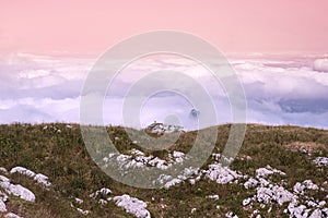 Mountain landscape in Chartreuse