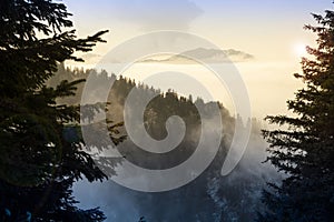 Mountain landscape in Chartreuse