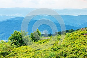 Mountain landscape on cloudy summer noon