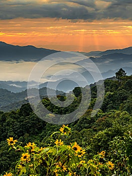 Mountain landscape with colorful vivid sunset on the cloudy sky