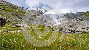 Berg Wiese a gletscher 