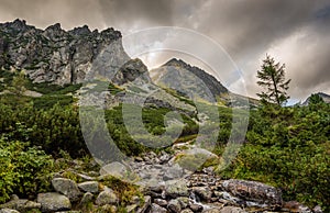 Mountain Landscape with a Creek