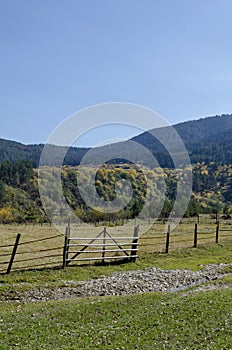 Mountain landscape with differently trees in venerable autumnal forest and glade, Rila mountain