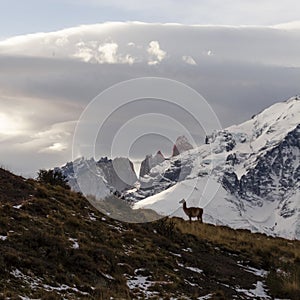 Mountain landscape environment, Torres del Paine National Park,