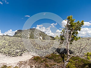 Mountain landscape. Ergaki Natural Park