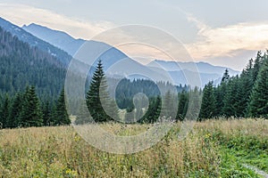 Mountain landscape evening time