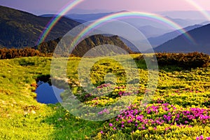 Mountain landscape with Flowers and a rainbow