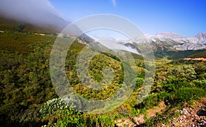 Mountain landscape with fog in summe photo