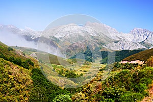 Mountain landscape with fog photo