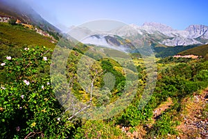 Mountain landscape with fog in summer photo