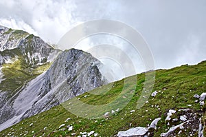 Mountain landscape with forest and blue sky in Austrian Alps. Tirol region