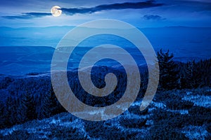 Mountain landscape with forested hill at night