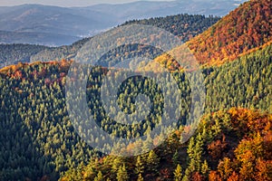 Horská krajina s lesmi v jesenných farbách