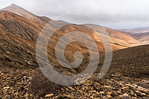 Mountain landscape. Fuerteventira. Canary Islands. Spain photo