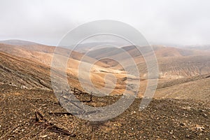 Mountain landscape. Fuerteventira. Canary Islands. Spain photo