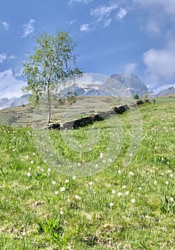 Mountain landscape in Gran Paradiso National Park, Italy, .