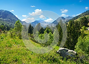 Mountain landscape with green grass and flowers. Andorra