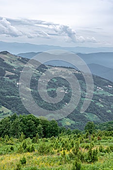 Mountain Landscape and Green Meadow with Blue Cloudy Sky