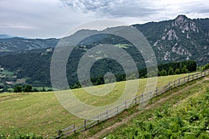 Mountain Landscape and Green Meadow with Blue Cloudy Sky