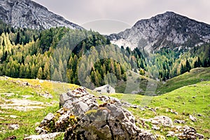 Mountain landscape. Green meadows and rocks. Fir forest and stormy sky. Abandoned hut. Tambre  Alpago  Belluno  Italy