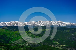 Mountain Landscape with Green Pine Forests and Snowcapped Peaks