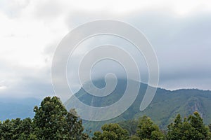 Mountain landscape, green slopes. Beauty of mountains. Little Adam peak, mountain in the fog view from the jungle