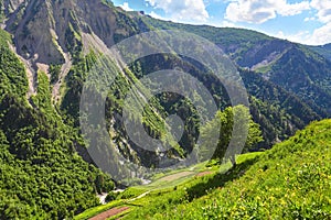 Mountain landscape with green tree on the hill