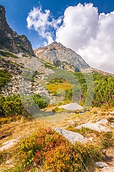 Mountain landscape, High Tatras National Park