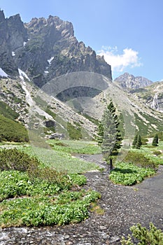 Mountain landscape High Tatras