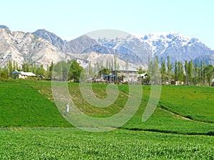 Mountain landscape in Hissar valley